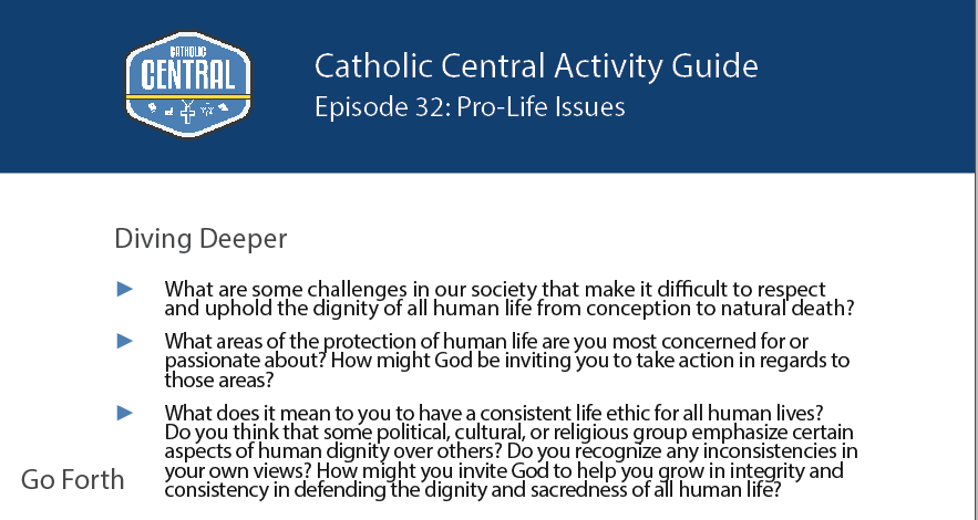 prolifeguide